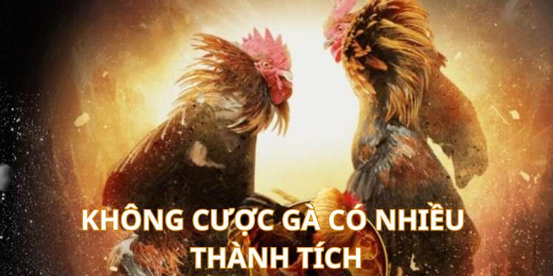 meo-cuoc-da-ga-khong-chon-ga-co-nhieu-thanh-tich